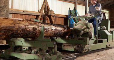 sawmill-machine-operator-istock-155314777 sawmill-machine-operator-istock-155314777
